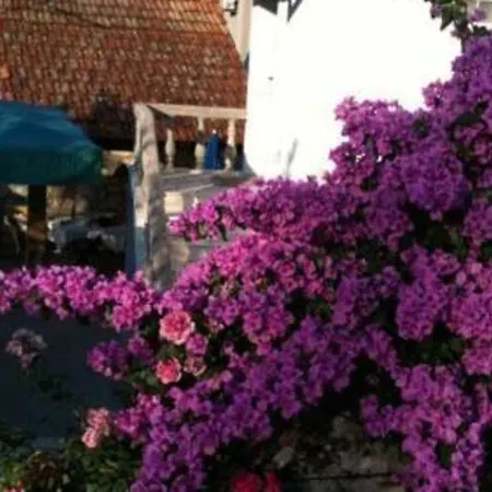 Lepur - Two-bedroom With Terrace *